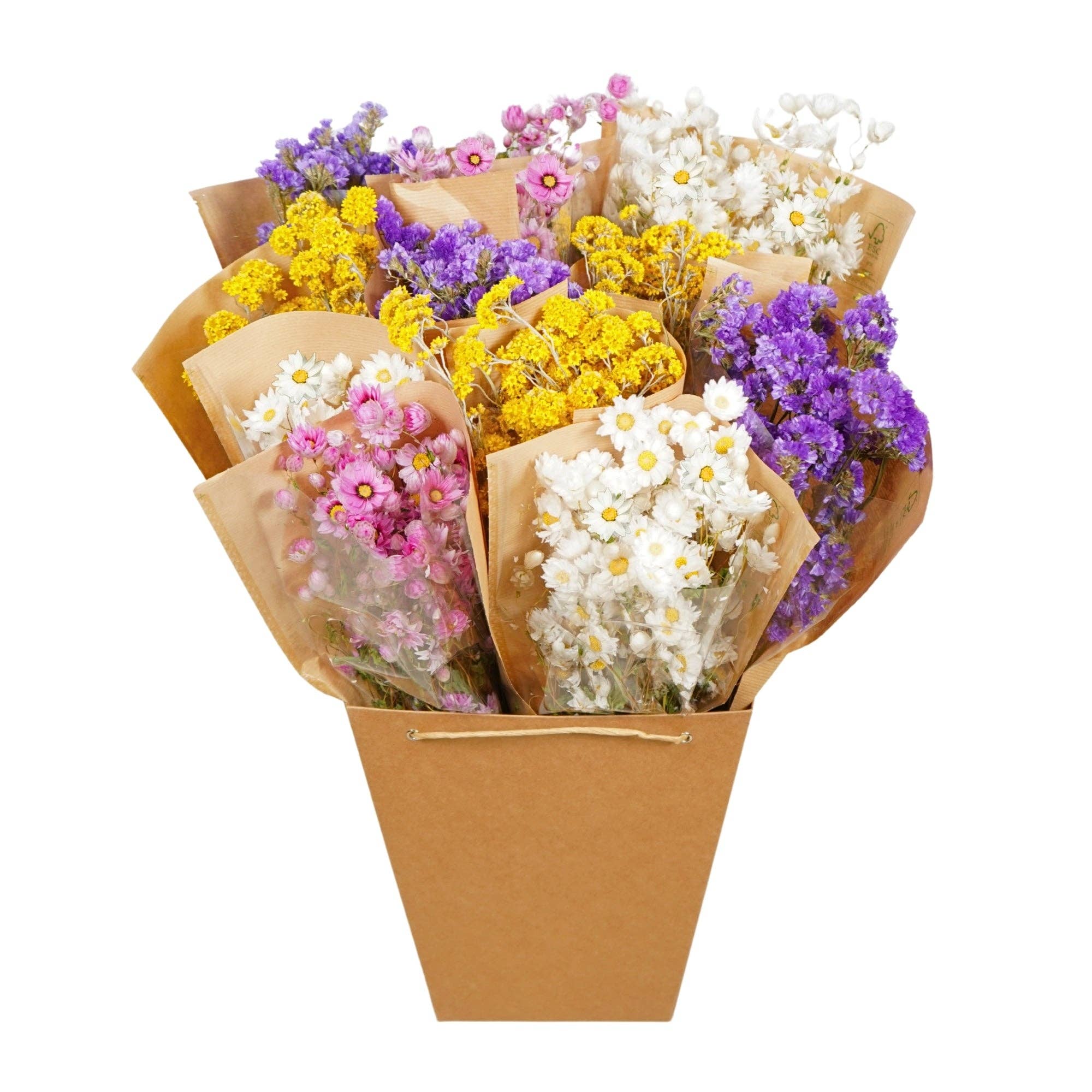 Dried Flowers - Designer Bucket - Mono Dutch