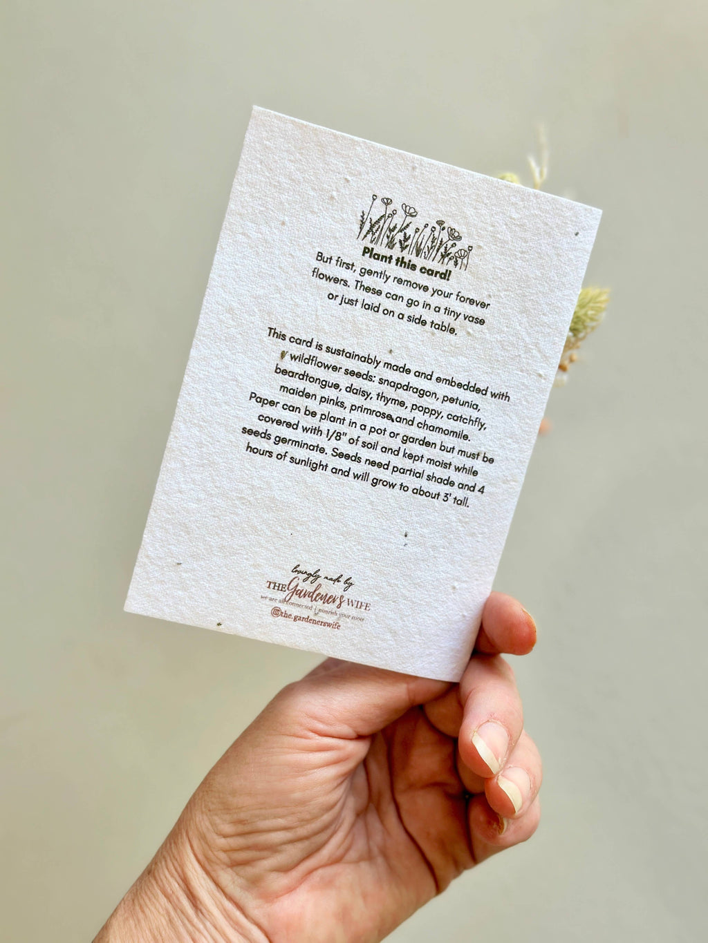 Wildflower Seed Card + Tiny Bouquet