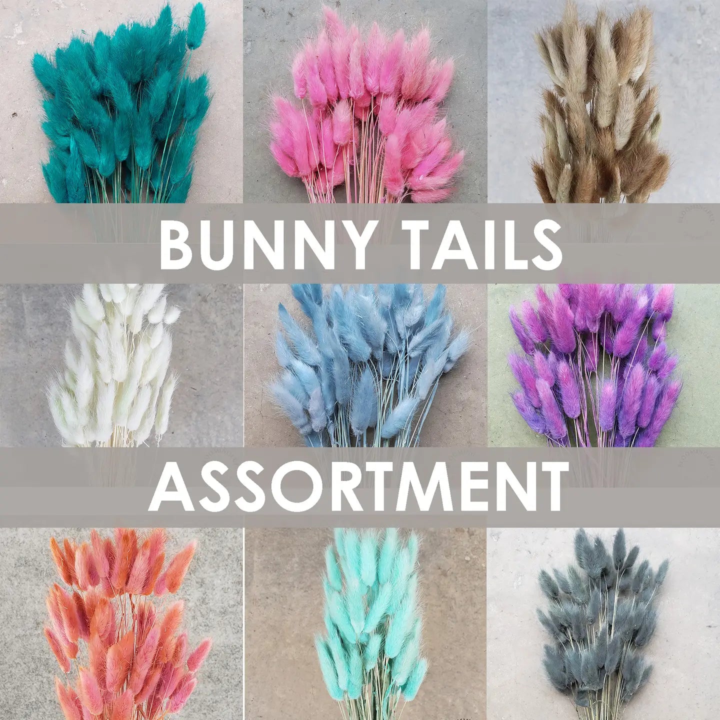 Dried Bunny Tails