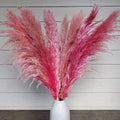 XL Dried Pampas Grass - Pink Balayage
