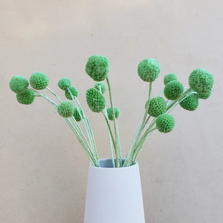 Dried Craspedia Billy Ball Flowers