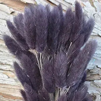 Dried Bunny Tails