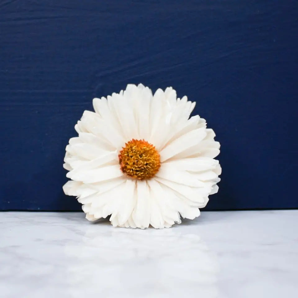 3" Classic Daisy (200 Pack)