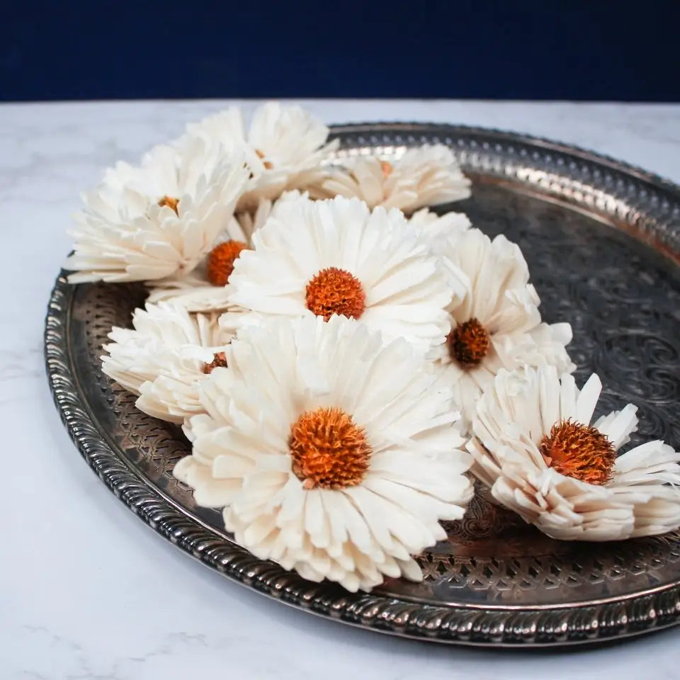 3" Classic Daisy (200 Pack)