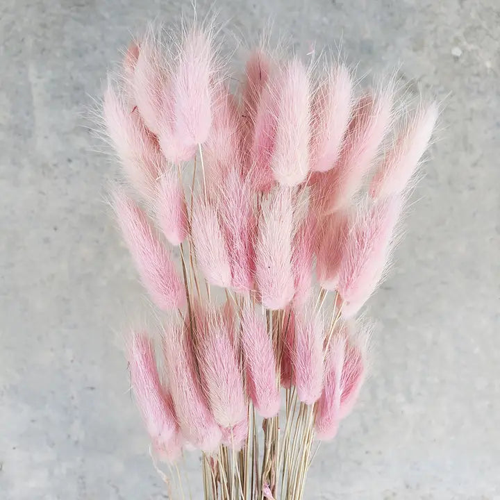Dried Bunny Tails