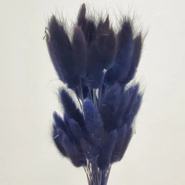 Dried Bunny Tails