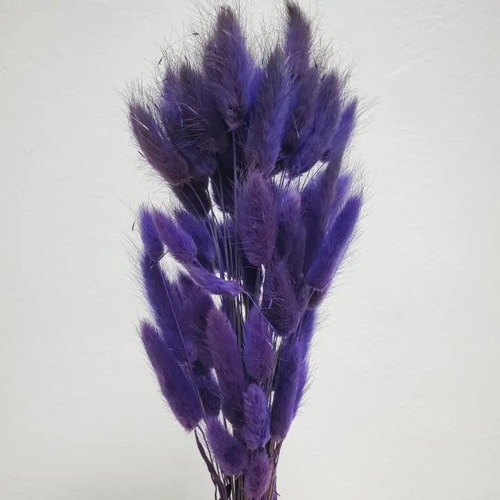 Dried Bunny Tails