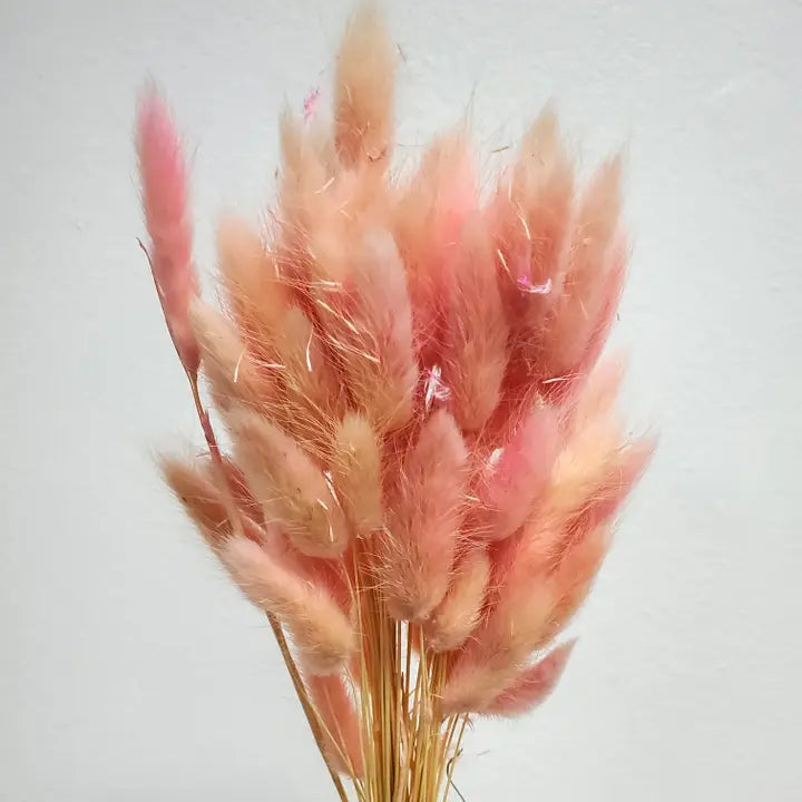 Dried Bunny Tails